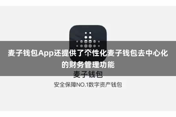 麦子钱包App还提供了个性化麦子钱包去中心化的财务管理功能