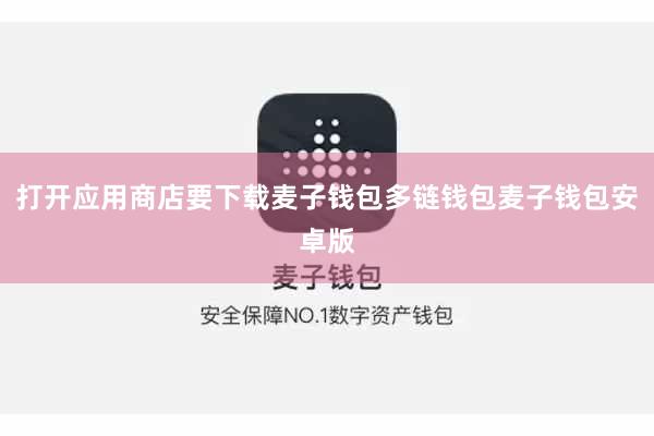 打开应用商店要下载麦子钱包多链钱包麦子钱包安卓版