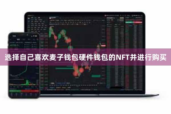 选择自己喜欢麦子钱包硬件钱包的NFT并进行购买