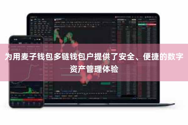 为用麦子钱包多链钱包户提供了安全、便捷的数字资产管理体验