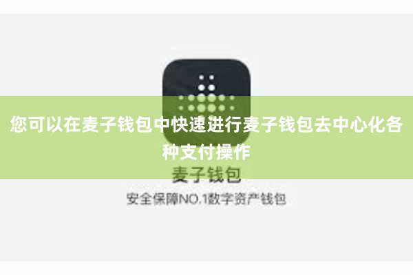 您可以在麦子钱包中快速进行麦子钱包去中心化各种支付操作
