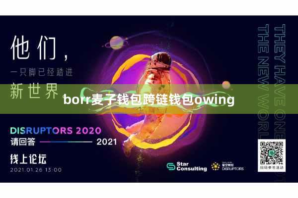 borr麦子钱包跨链钱包owing