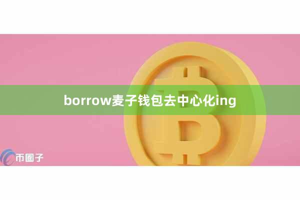 borrow麦子钱包去中心化ing