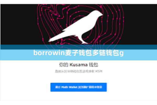 borrowin麦子钱包多链钱包g