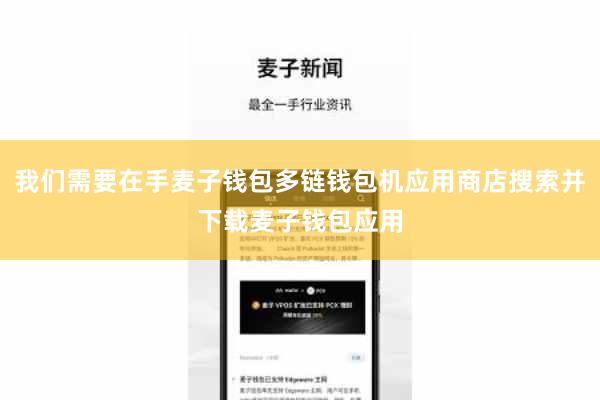 我们需要在手麦子钱包多链钱包机应用商店搜索并下载麦子钱包应用