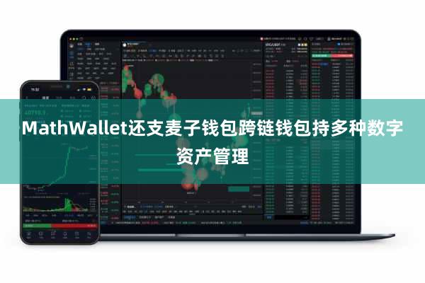 MathWallet还支麦子钱包跨链钱包持多种数字资产管理