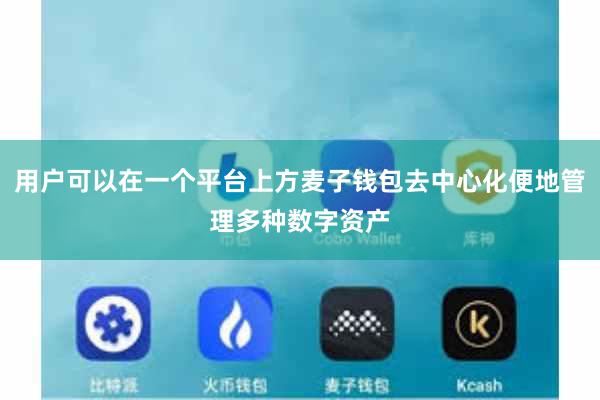 用户可以在一个平台上方麦子钱包去中心化便地管理多种数字资产