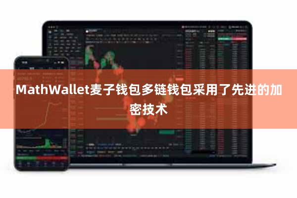 MathWallet麦子钱包多链钱包采用了先进的加密技术